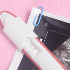 pregnancy test